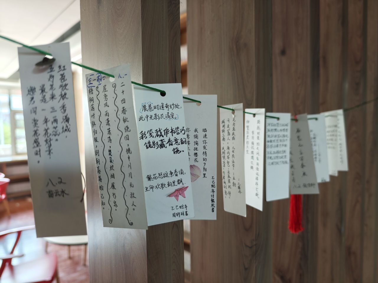 照片4.jpg