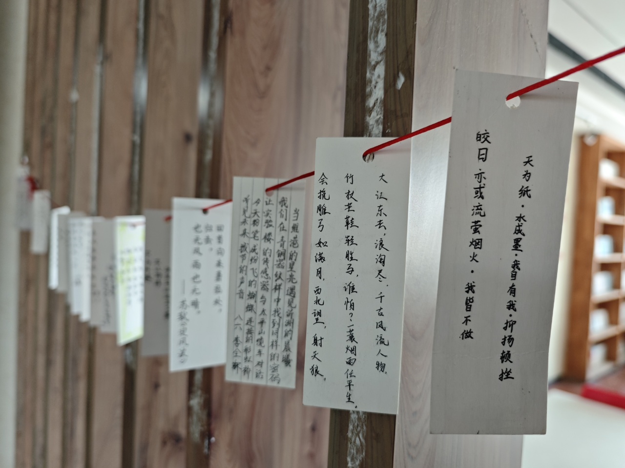 照片5.jpg